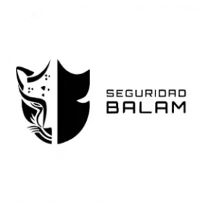 seguridad-1-e1741127633114